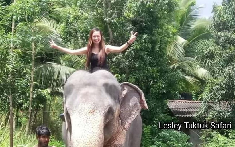 Kandy : Pinnawala Elephant Safari Private Guid Tuk Tuk Tour - Price, comfort, and who should book