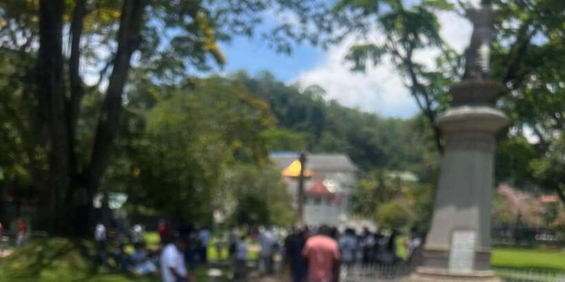 Kandy: Private City Highlights Guided Tour by Tuk-Tuk - The optional Kandyan cultural dance