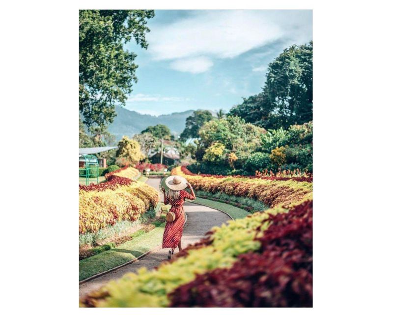 Kandy Private Guided City Day Tour by Local Tuk Tuk - Gadaladeniya Temple and the road beyond town