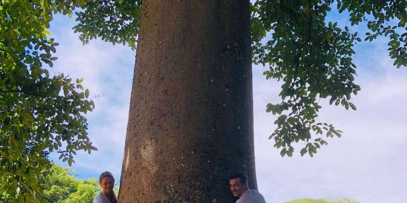 Kandy privet day tour with pinnawala and Tea plantation - Key points at a glance