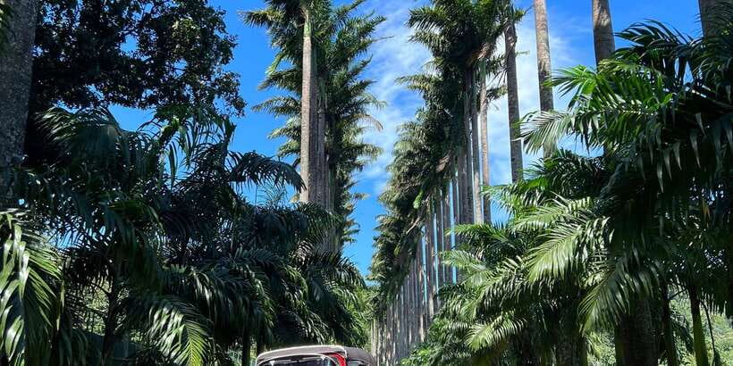 Kandy privet day tour with pinnawala and Tea plantation - What the $47 price really covers