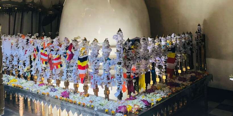 Kandy privet day tour with pinnawala and Tea plantation - Traditional dance and local food