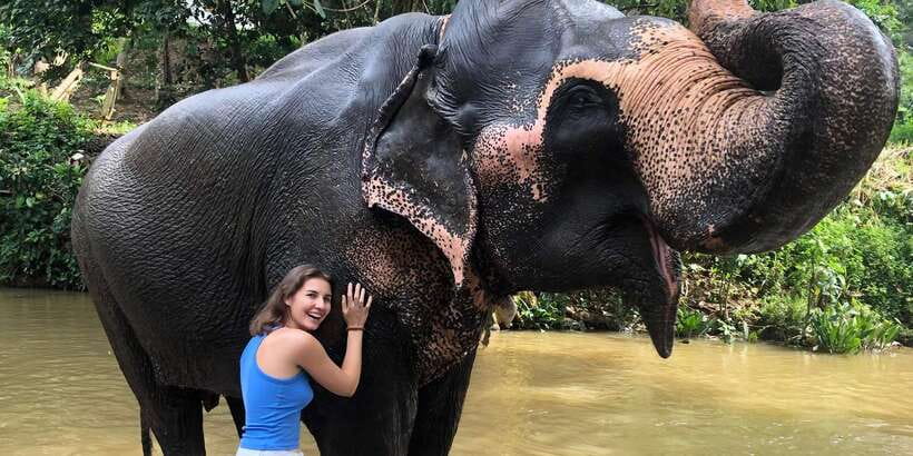 Kandy privet day tour with pinnawala and Tea plantation - Pinnawala Elephant Orphanage in 45 minutes