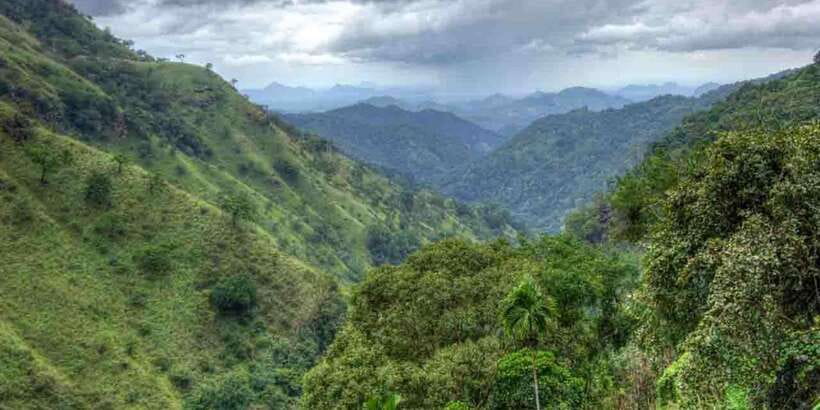 Kandy: Shanthipura and Nuwara Eliya - A 7:00AM Start Makes the Day Possible