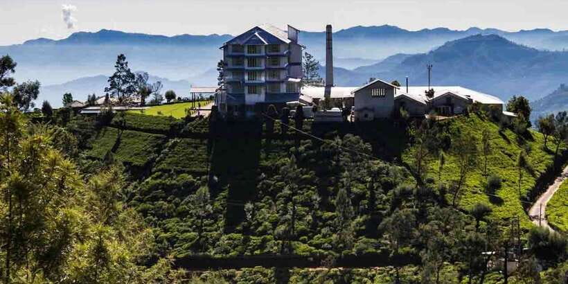 Kandy: Shanthipura and Nuwara Eliya - Mackwoods Labookellie: Seeing How Tea Becomes Tea