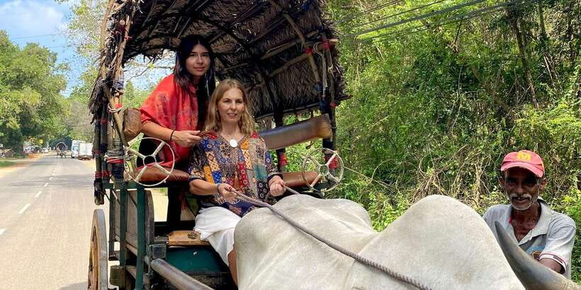 Kandy: Sigiriya, Dambulla & Wildlife Safari Private Tour - Who should book this experience?