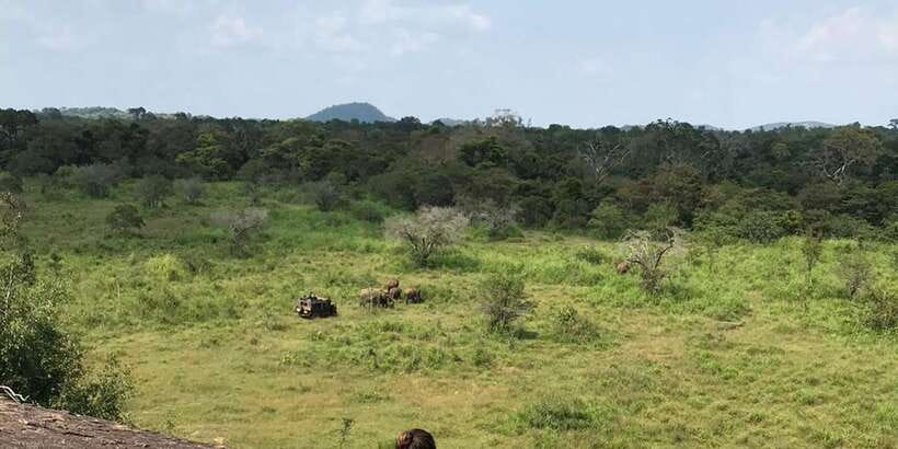 Kandy: Sigiriya, Dambulla & Wildlife Safari Private Tour - Why this Kandy day trip packs in so much