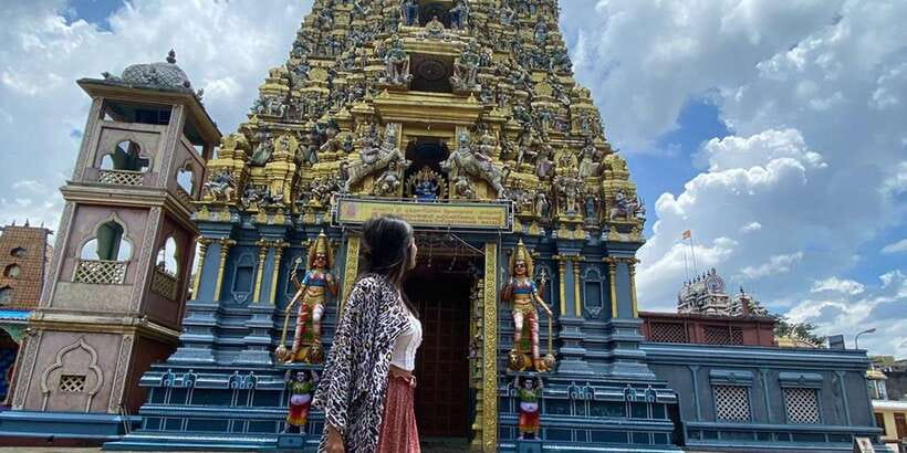 Kandy: Sigiriya, Dambulla & Wildlife Safari Private Tour - Habarana safari and the moving elephant herds