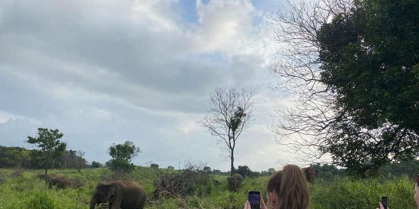 Kandy: Sigiriya, Dambulla & Wildlife Safari Private Tour - Transport, drivers, and the private format