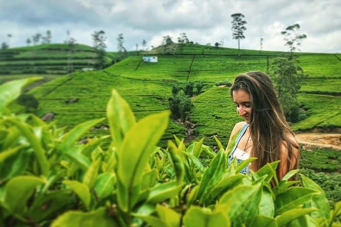 Kandy to Nuwara Eliya Day Tour - Why this Kandy to Nuwara Eliya trip works