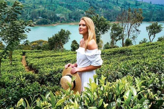 Kandy to Nuwara Eliya Day Tour - Tea plantations show Sri Lanka’s working countryside