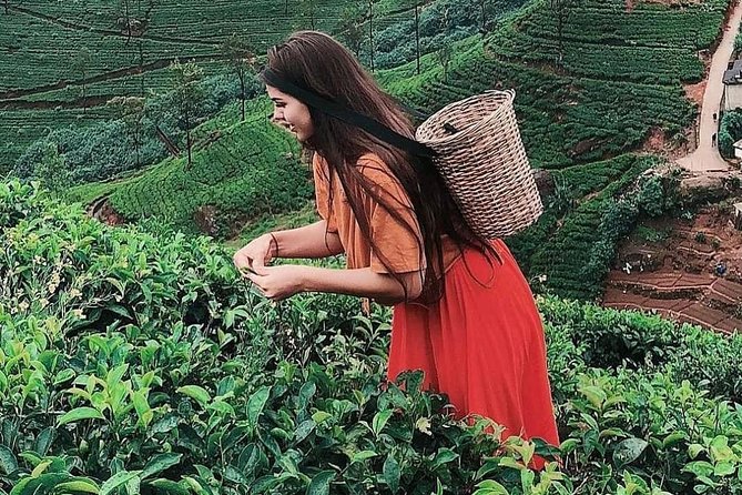 Kandy to Nuwara Eliya Day Tour - Ramboda Falls gives the morning a clear highlight