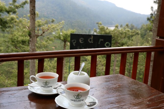 Kandy to Nuwara Eliya Day Trip – Little England & Tea Country - Victoria Park, the racecourse, and Little England