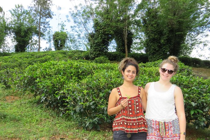 Kandy to Nuwara Eliya Day Trip – Little England & Tea Country - Why the private format is worth $30