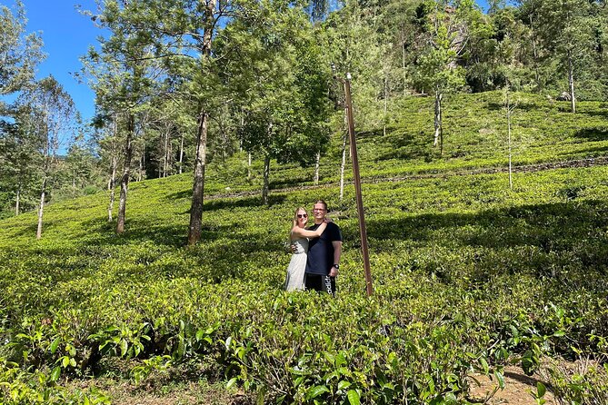 Kandy to Nuwara Eliya Day Trip – Little England & Tea Country - The long day, the fitness level, and what to pack
