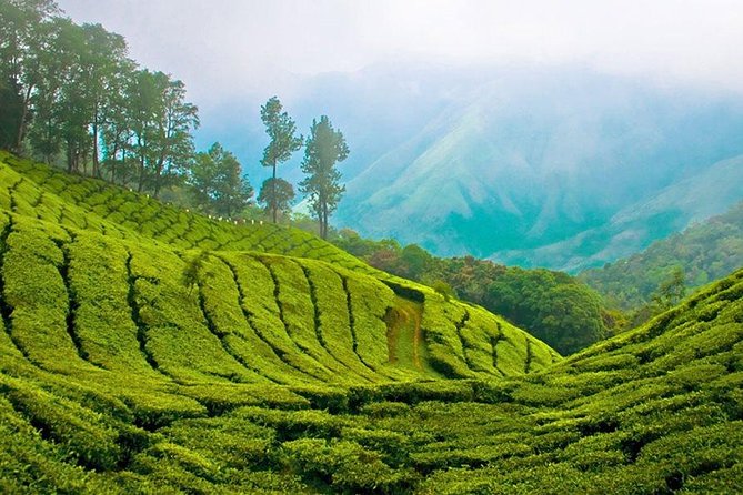 Kandy to Nuwara Eliya Day Trip – Little England & Tea Country - Sri Baktha Hanuman Temple at Ramboda