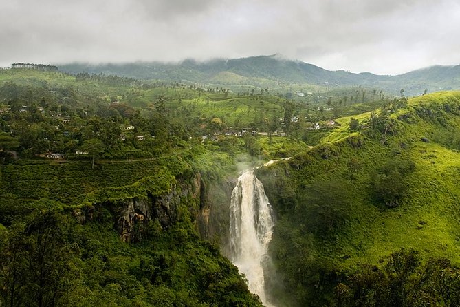 Kandy to Nuwara Eliya Private Day Tour - The driver can shape the quality of the day
