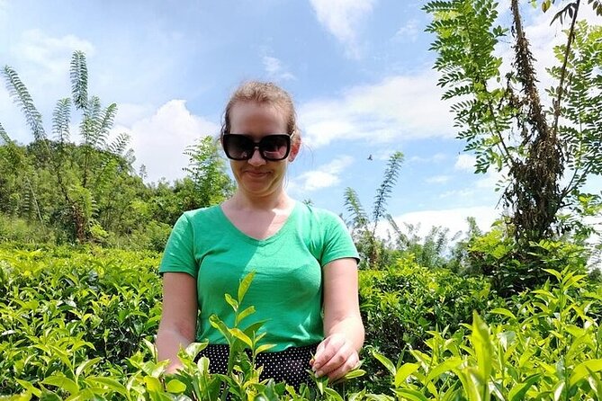 Kandy to Nuwara Eliya Private Day Tour: Tea Factory& Gregory Lake - Choosing between a tuk-tuk and a van