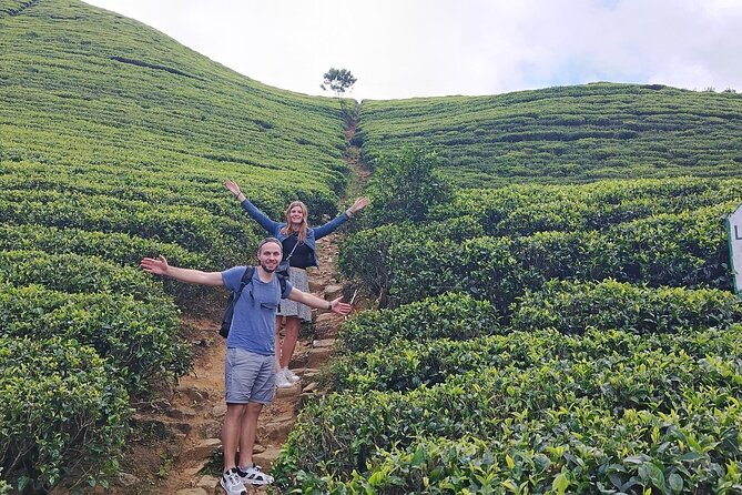 Kandy to Nuwara Eliya Private Day Tour: Tea Factory& Gregory Lake - The real value of a private 10-hour day