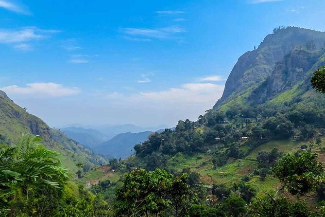 Kandy to Nuwara Eliya Private Day Tour - Damro Labookellie Tea Centre and the plantation