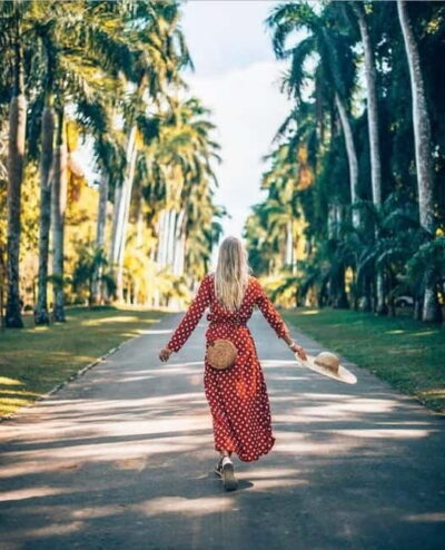 Kandy to Pinnawala Guided Day Tours by Local