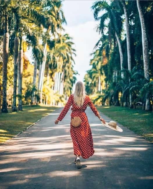 Kandy to Pinnawala Guided Day Tours by Local - Pinnawala gives the morning its main purpose