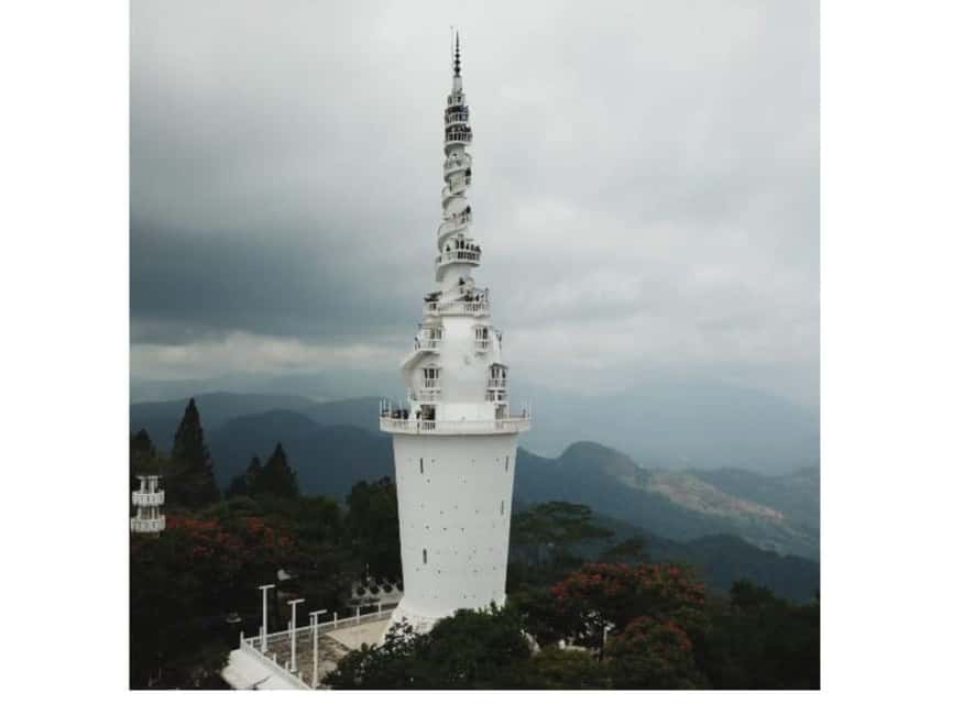 Kandy to Pinnawala Orphanage and Ambuluwawa Guided Day Tours - Pinnawala and the elephant welfare question
