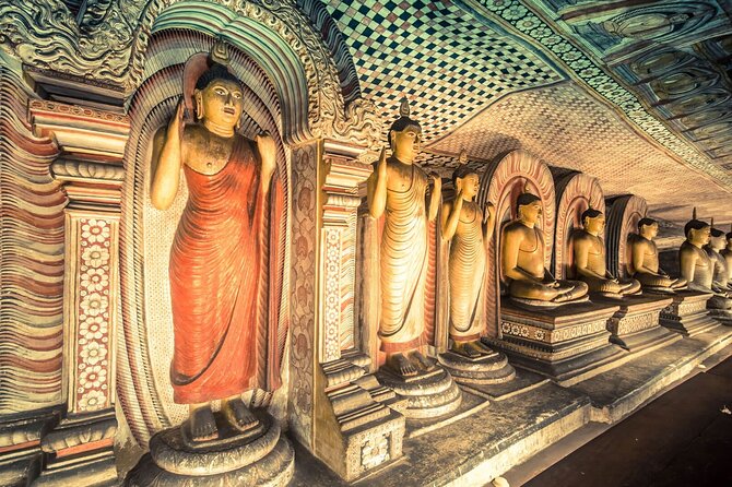 Kandy to Sigiriya and Dambulla Safari Day Tour - The Sigiriya jeep safari: wildlife with an extra charge