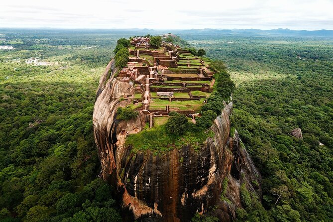 Kandy to Sigiriya and Dambulla Safari Day Tour - The driver experience is the strongest part