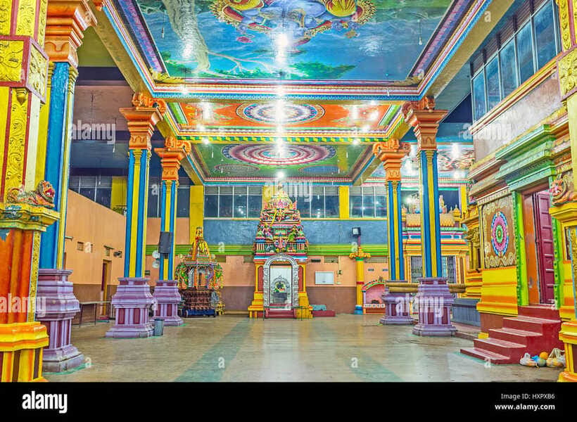 Kandy To Sigiriya Drop Tour- - Private Tour - The Ayurvedic village and wood carving workshop