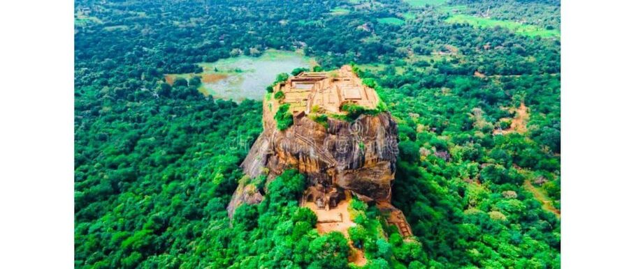 Kandy to Sigiriya Guided Day Tours by Local - Wildlife safari choices and the biggest cost decision