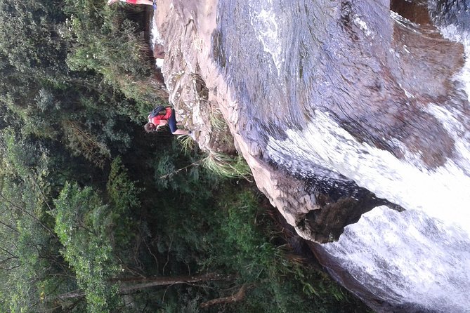 kandy waterfalls day tour - Why a private tour changes the day