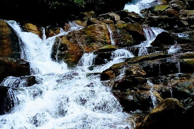 Kanneliya Rain Forest Tour - Key Points Before You Book