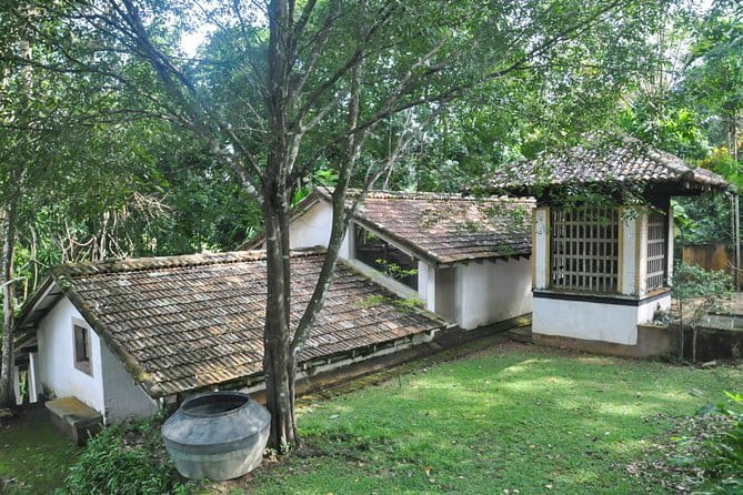 Kanneliya Rain Forest Tour - Is $95 Per Person Good Value?