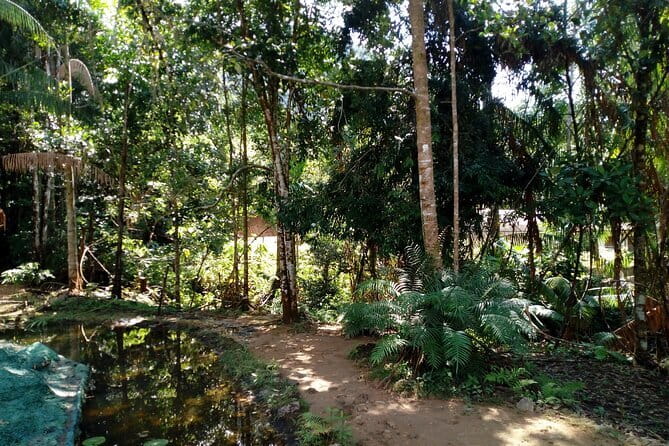Kanneliya Rain Forest Tour - What the Southern Coast Pickup Route Means