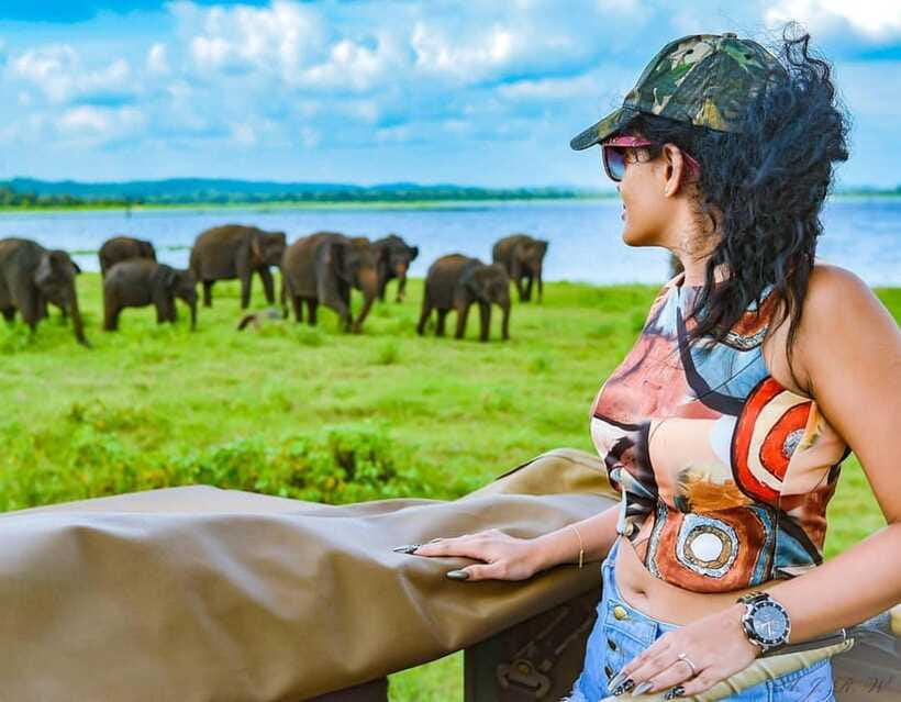 Kaudulla National Park Half-Day Safari with Expert - Finding Elephants Around Kaudulla Reservoir