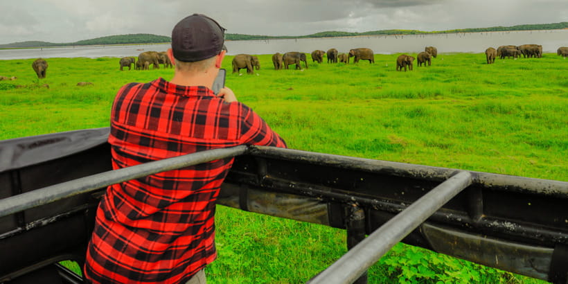 Kaudulla National Park Half Day Sri Lanka Jeep Safari - Key points at a glance