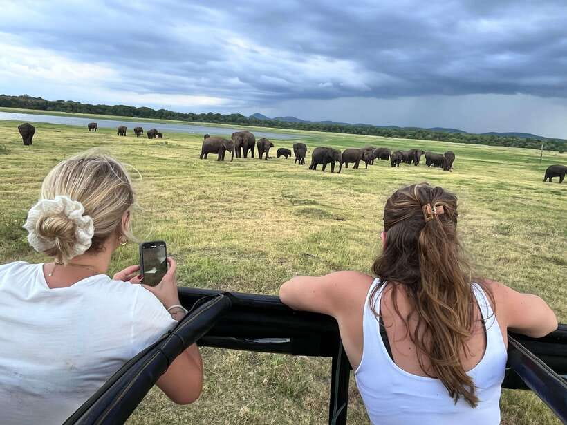 Kaudulla National Park: Private Safari - Key reasons to consider this Kaudulla safari