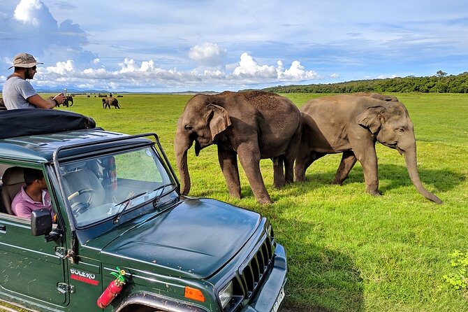 Kaudulla National Park Safari | Jeep with Tickets - What happens at the 2:30 pm start