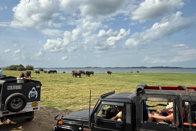 Kaudulla National Park Safari [private , full package] - How the four-hour itinerary works