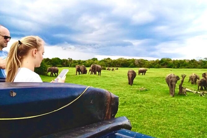 Kaudulla Safari Adventure - Key points about the Kaudulla safari