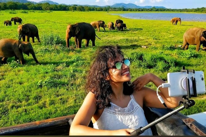 Kaudulla Safari Adventure - What the $22 price really means