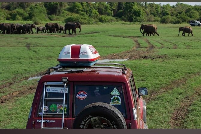 Kaudulla Safari Adventure - The entrance gate is the weak point