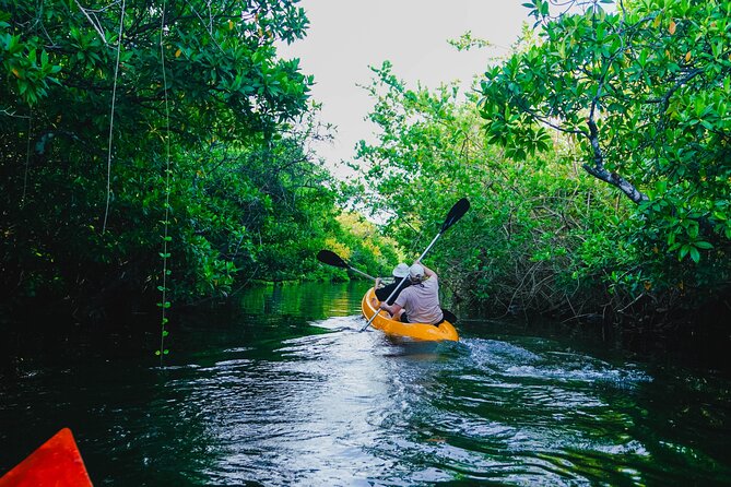 Kayaking Adventure on serene waters through mangroves, Akurala - Key points to know before kayaking