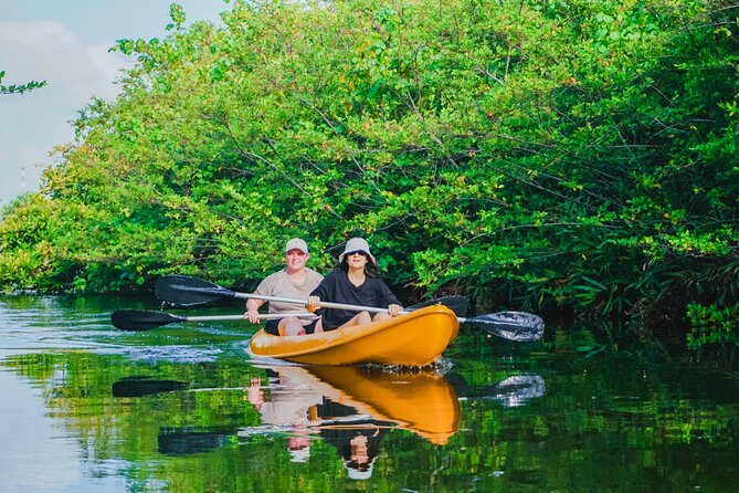 Kayaking Adventure on serene waters through mangroves, Akurala - Starting at 8:00 am on Galle Road