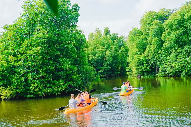Kayaking Adventure on serene waters through mangroves, Akurala - Watching for birds, water monitors, and bats