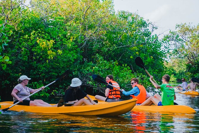 Kayaking Adventure on serene waters through mangroves, Akurala - The railway moment adds a little nerve
