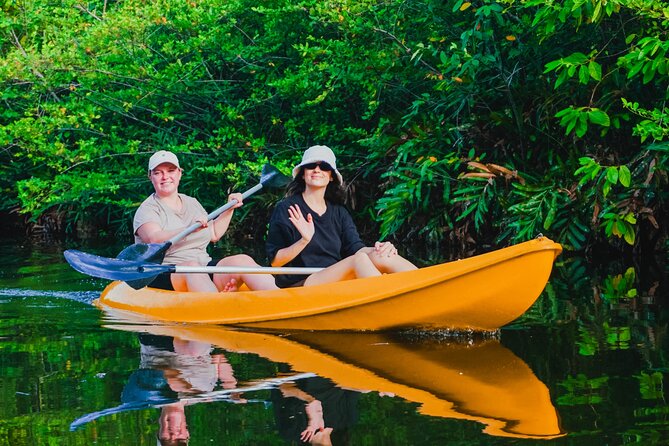 Kayaking Adventure on serene waters through mangroves, Akurala - Paddling into the mangroves