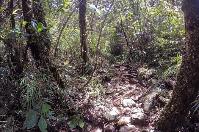 Knuckles Leopard trail Trek from Kandy - Evergreen dwarf cloud forest and local wildlife