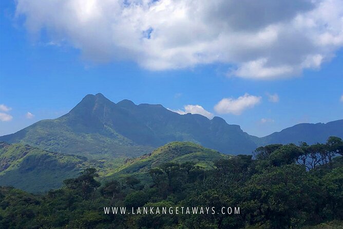 Knuckles Mountain Hiking - Key Points Before You Book